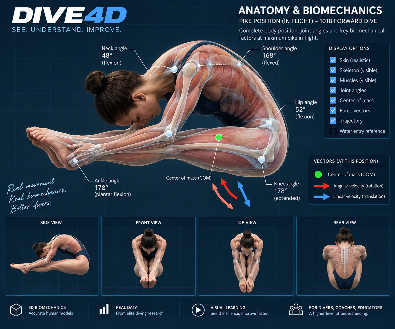 Dive4D anatomy and biomechanics visualization with skeleton, muscles, joints and center of mass